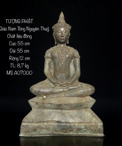 do dong bao phuong