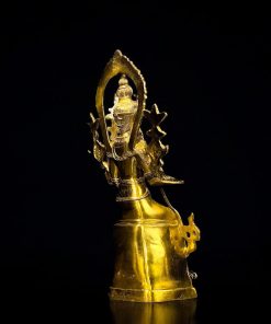 do dong bao phuong 8 1